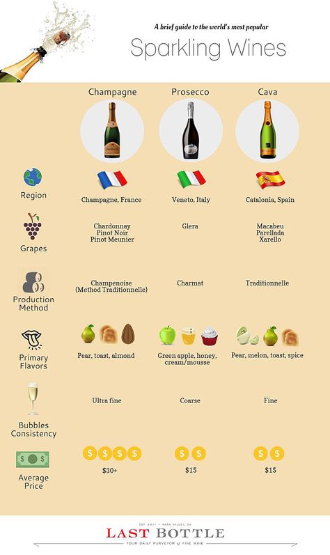 Popular sparkling wines from around the world Wine Types, Wine Board, Wine Chart, Wine Course, Wine Facts, Red Wine Stains, Wine Knowledge, Wine Magazine, Wine Education