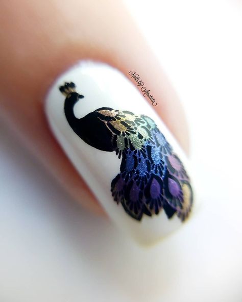 Peacock Nail Art Designs Feathers, Peacock Nail Art Designs, Peacock Nail Designs, Stamp Nail Art, Peacock Nail Art, Peacock Nails, Bridal Nail, Nail Stamp, Bridal Nail Art