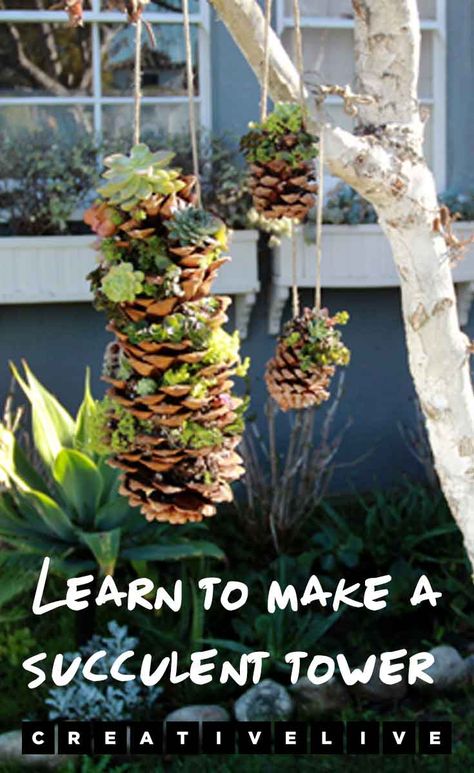 Transform a pinecone into an incredible succulent tower! Check out the step-by-step guide to building a living succulent tower on the CreativeLive blog. Succulent Tower, Pollinator Garden Design, Wabi Kusa, Succulent Ideas, Plants Hanging, Succulent Bonsai, Backyard Flowers, Succulent Garden Diy, Cone Crafts