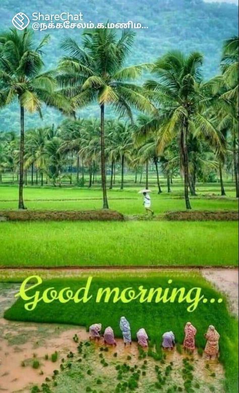 Photos For Dp, Natural Photoshoot, Afternoon Messages, Drawing Natural, Good Morning Nature Images, Good Morning Wishes Friends, Good Morning Sunday Images, Photos Of Good Night, Ganesh Lord