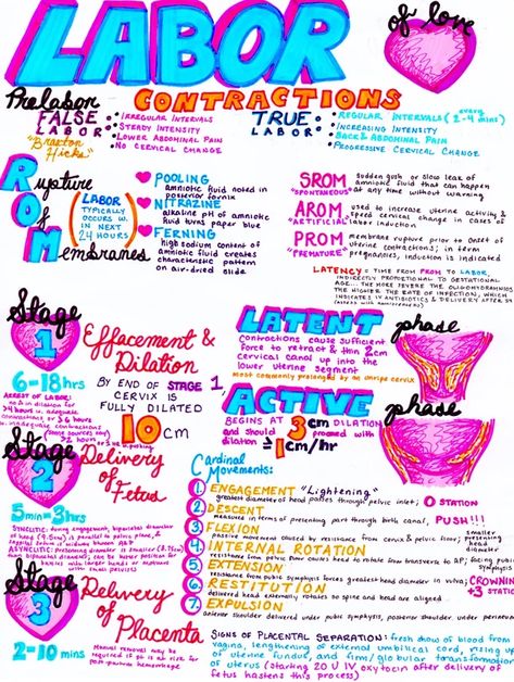 OBGYN Notes | hansonsanatomy Ob Nursing Student Cheat Sheets, Ob Nursing Student, Nursing Ob, Labor And Delivery Nursing, False Labor, Obstetrics Nursing, Midwifery Student, Baby Delivery, Pinning Ceremony