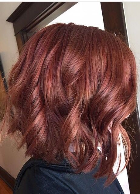 Bobbed Red Hair, Short Hair Balayage Red Copper, Red Gold Hair Color, Short Red Hair With Layers, Rose Red Hair Color, Dark Red Bob Hair, Rose Gold Red Hair, Red Shirt Hair, Medium Length Red Hair With Layers