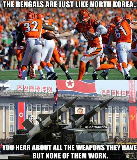 Bengals Memes, Bengal Football, Sports Joke, Nfl Funny, Dallas Cowboys Football Team, Nfl Memes, Dallas Cowboys Football, Cowboys Football, Football Memes