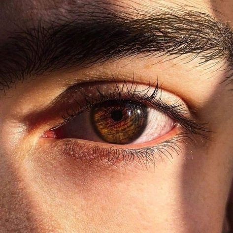 Brown Eyes Aesthetic, Brown Eye Boys, Beautiful Eyes Color, Pretty Brown Eyes, Boy Eyes, Male Eyes, Dark Brown Eyes, Eye Photography, Your Gorgeous