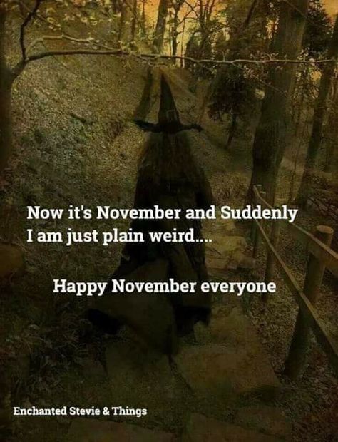 Weirdo Quotes, Wiccan Quotes, Halloween Witches Brew, Sacred Masculine, Snow Moon, November Quotes, Hoodie Weather, Monthly Quotes, Witch Quotes