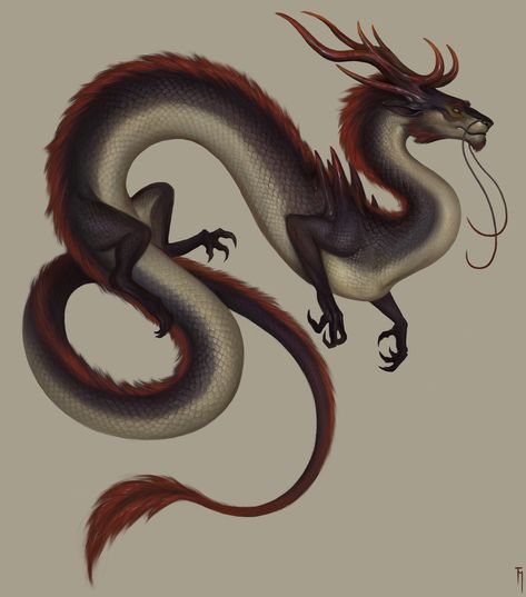 Lung Dragon Art, Wyverns Art, Lung Dragon, Dragon Fashion, Dragon Poses, Dragon Horns, Dragon Horse, Horse Inspiration, Dragon Artwork