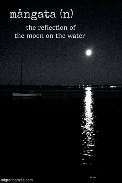 Saw that in Spain... The reflection of the moon on the sea... It was beautiful. Words For Travel, Uncommon Words, Travel Words, Fancy Words, Weird Words, Unusual Words, Rare Words, Big Words, Word Definitions