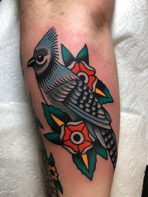 American Traditional Blue Bird Tattoo, Traditional Bluejay Tattoo, Blue Jay Traditional Tattoo, Traditional Woodpecker Tattoo, American Traditional Blue Jay Tattoo, Traditional Bird Tattoo, Blue Jay Tattoo, Jay Tattoo, Neat Tattoos