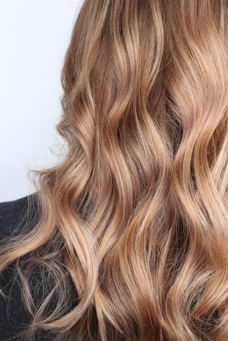 40 Honey Blonde Hair Color Ideas That You'll Love in 2023 Honey Blonde Hair Ideas, Honey Blonde Hair Color Ideas, Healthy Blonde Hair, Blonde Toner, Platinum Blonde Balayage, Types Of Hair Color, Which Hair Colour, Honey Balayage, Honey Blonde Hair Color