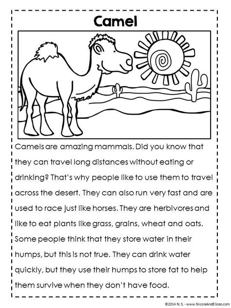 FREE close reading passage and interactive notebook activities - great for guided reading groups and literacy centers in first and second grade Fluency Passages, Close Reading Passages, Interactive Notebook Activities, Guided Reading Groups, 3rd Grade Reading, 2nd Grade Reading, First Grade Reading, Comprehension Passage, Reading Centers