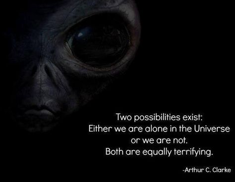 Aliens A Quote, New Memes, The Universe, Aliens, Inspire Me, Funny Images, Wise Words, Favorite Quotes, Quote Of The Day