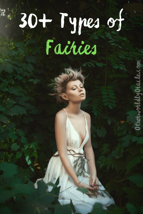 Fairy Types Mythology, Types Of Fae Creatures, Types Of Fairy Wings, Elemental Fairy, Faerie Magick, Fairy Types, Faery Magick, Types Of Elves, Fairy Shoot