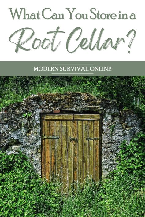 Root Cellar Storage, Storing Food Long Term, Root Cellars, Root Cellar, Modern Society, Survival Food, Fresh Milk, Soft Cheese, Root Vegetables