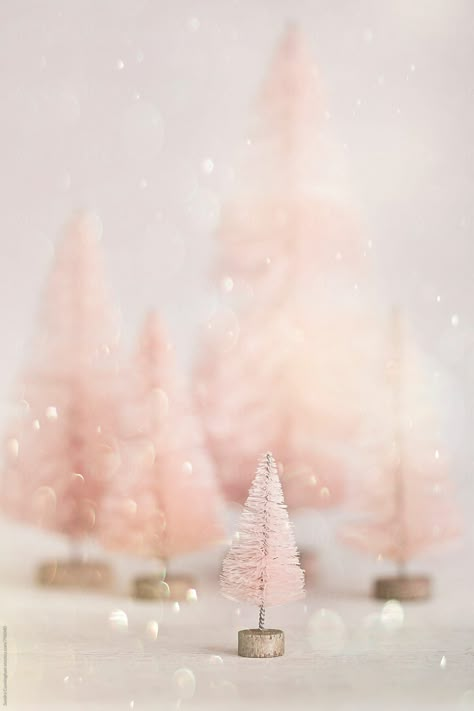 Miniature Christmas Tree, A Pink Christmas, Rose Gold Christmas, Pink Xmas, Pastel Christmas, Pink Christmas Decorations, Christmas Phone Wallpaper, Christmas Tablescape, 카드 디자인