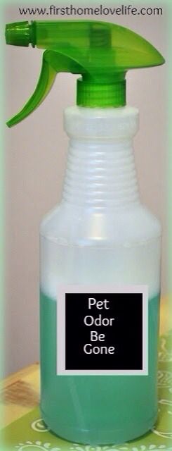 Handy Gadgets, Pet Odor Eliminator, Pet Urine, Homemade Cleaning Products, Diy Cleaners, Pet Odors, Cleaning Recipes, Odor Remover, Cleaners Homemade