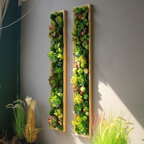 Mos Wand, Indoor Plant Wall, نباتات منزلية, Plant Wall Decor, Hanging Plant Wall, Green Wall Decor, Moss Wall Art, Deco Nature, Walled Garden