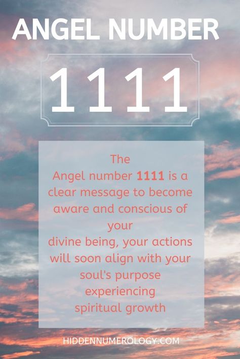 Table of Contents	 Angel Number 1111 appears in your life – What does it mean? Seeing 1111? Angel number 1111 meaning love Meaning of Angel Number 1111 What does 1111 mean spiritually? What Does Angel Number 1111 Mean, 1111angel Number Meaning, Angle Numbers 1111, 1111 Angel Number Meaning Love, What Does 1111 Mean, What Does 1111 Mean Angel Numbers, Seeing 1111 Meaning, Angel Number 1111 Meaning, What Does 11:11 Mean