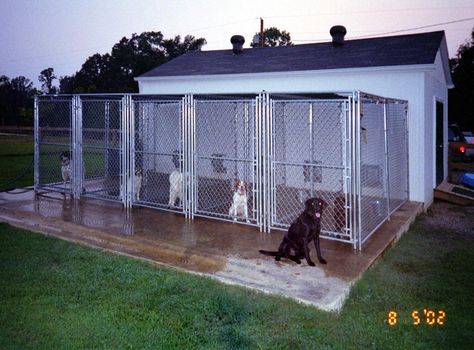 Dog Run for the boarding kennels...i would make them slightly digger Diy Kennel, Diy Dog Run, Chain Link Dog Kennel, Dog Enclosures, Dog Boarding Kennels, Indoor Dog Kennel, Dog Kennel Designs, Dog Kennel Cover, Kennel Cover