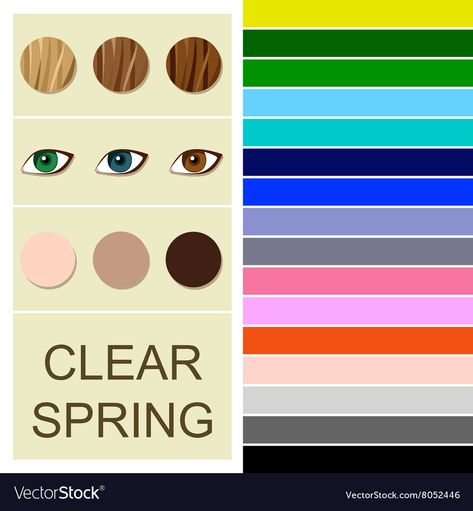 Clear Color Code, Color Analysis Palette, Clear Spring Palette, Color Analysis Winter, Color Analysis Summer, Polyvore Spring, Elegant Style Women, Clear Spring, Spring Palette