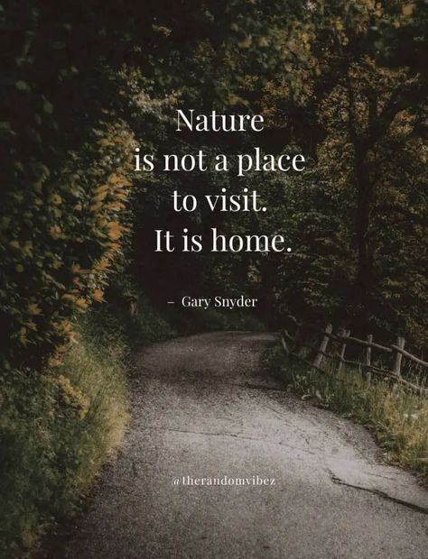 Nature Quotes About The Beauty Of Mother Nature Quote On Nature Beauty, Quotes About Earth, Earth Quotes Nature, Nature And Human Quotes, Nature Quotes Aesthetic, Shirin Yoku, Thought About Nature, Quotes About Earth Nature, Save Nature Quotes