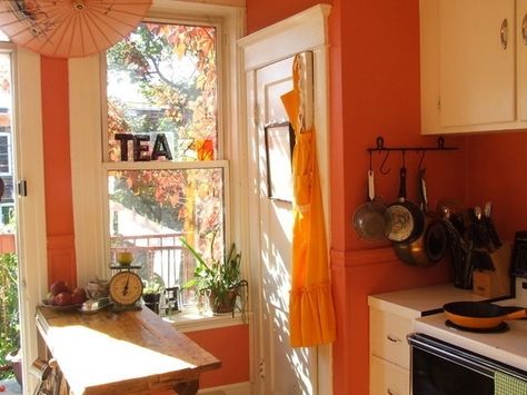 ! Coral Kitchen, Kitchen Spotlights, Kitchen Apartment, Rental Kitchen, Space Apartments, Paint Kitchen, Orange Kitchen, Apartment Rental, Kitchen Paint Colors