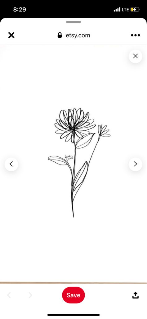 Chrysanthemum One Line Drawing, One Line Chrysanthemum Tattoo, Single Line Chrysanthemum Tattoo, Simple Chrysanthemum Tattoo Outline, November Flower Tattoo Simple, Fineline Chrysanthemum Tattoo, Chrythansemum Tattoo, Chrysanthemum Line Tattoo, Chrysanthemum Line Drawing