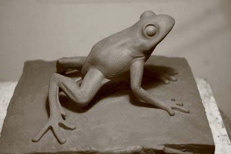 Clay Frogs, Clay Frog, Ceramic Frogs, Pottery Animals, Ceramic Art Sculpture, Frog Art, Hand Built Pottery, Clay Animals, Pottery Sculpture