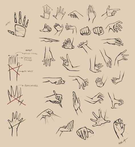 Hand Drawings, Drawing Hands, Hand Reference, Pose References, Body Anatomy, Poses References, Guided Drawing, Pop Surrealism, Drawing Lessons