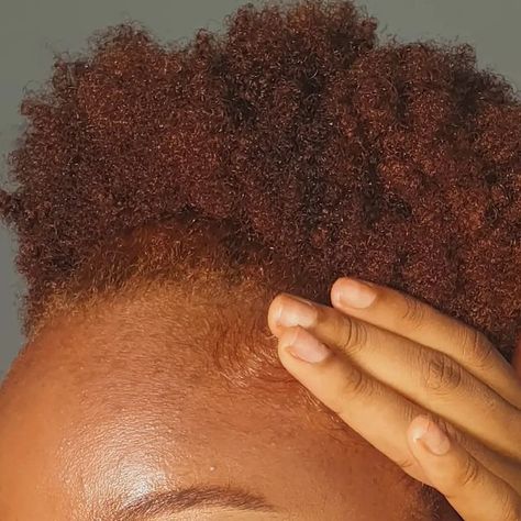 Hair Dye 4c Hair, Ginger Afro Black Women, Dye 4c Hair, Ginger Afro, Afro Hair Dye, Afro Hair Types, Red Hair Dye, Color Hairstyles, Short Locs