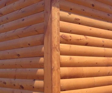 Siding For Homes, Vinyl Log Siding, Cedar Wood Siding, Cabin Siding, Log Cabin Siding, Vinyl Siding Installation, Redwood Siding, Log Cabin Exterior, Hereford Cattle