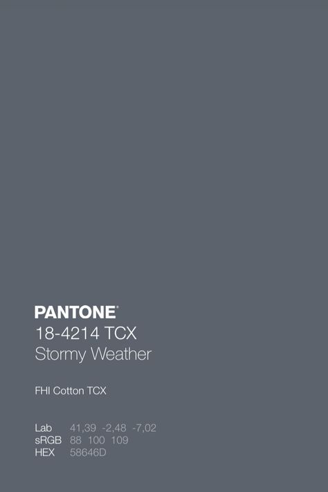 PANTONE 18-4214 TCX Stormy Weather • Download Free Adobe Illustrator Palette in .ase • #pantone #color #colourswatch #pantone2020 #colorswatch #darkautumn #fallcolors #fallschemes #fallcolor #fallcolour #pantonegreyblue Pantone Colors Wallpaper, Pantone Nero, Colour Palette Pantone, Pantone Pallete, Pantone Wallpaper, Pantone Color Palette, Pantone Swatch, Free Adobe Illustrator, Pantone Color Chart