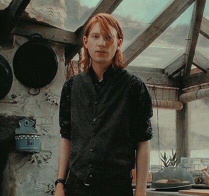 Bill Weasley, Weasley Aesthetic, Weasley Harry Potter, Weasley Family, Arthur Weasley, Harry Potte, Domhnall Gleeson, Harry Potter Icons, Fred And George Weasley