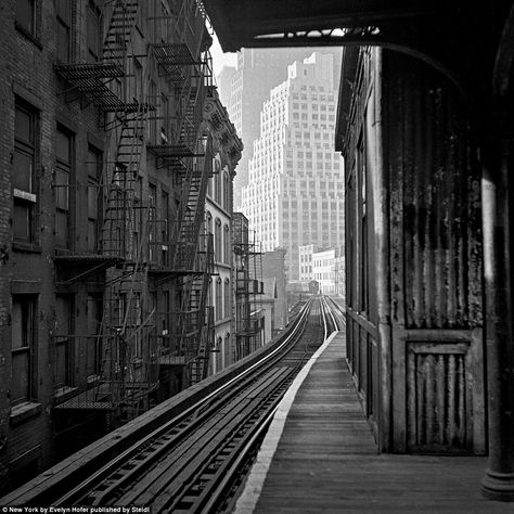 The image above, 'L train station' from 1964, harks to a time period when there were many more elevated train stations in Manhattan. Hofer photographed several cities and took shots of their architecture and buildings Evelyn Hofer Photography, Evelyn Hofer, Penn Station, Roosevelt Island, Fulton Street, New York Vintage, Autumn In New York, U Bahn, Long Island City