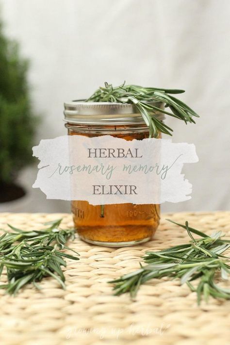 Rosemary Memory Elixir, Herbal Bath Tea, Herbal Elixir, Holistic Health Remedies, Ginger Benefits, Herbal Bath, Herbal Teas Recipes, Herbal Apothecary, Herbal Recipes