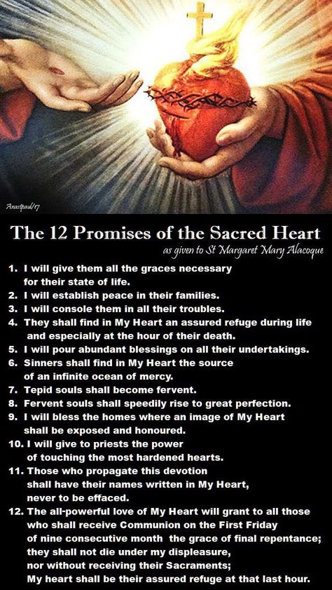 The Light of Faith — Quote/s of the Day – 7 October – The Memorial of... 12 Promises Of The Sacred Heart, Sacred Heart Of Jesus And Immaculate Heart Of Mary, Sacred Heart Devotion, Margaret Mary Alacoque, St Margaret Mary, Saint Margaret, Catholic Prayers Daily, Catholic Beliefs, Santi Cattolici