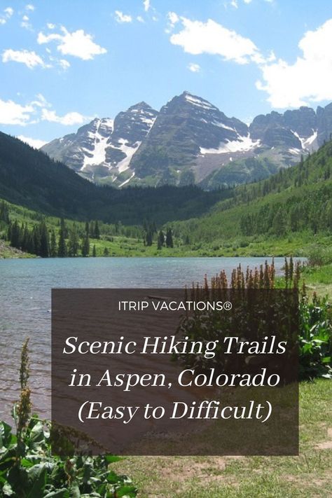 Aspen Colorado Hikes, Best Hikes Near Denver Colorado, Colorado Springs Hikes, Best Hikes In Colorado Springs, Aspen Vacation, Colorado Aspen Trees, Colorado Hiking Trails, Beginner Hiker, Colorado Trail