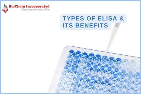 Enzyme-linked immunosorbent assay is a method to determine the presence of antigens in biological samples. Phenomenal ELISA kit providers in India state its type. Meaningful Life, Food Safety, Life Science, Benefits, India