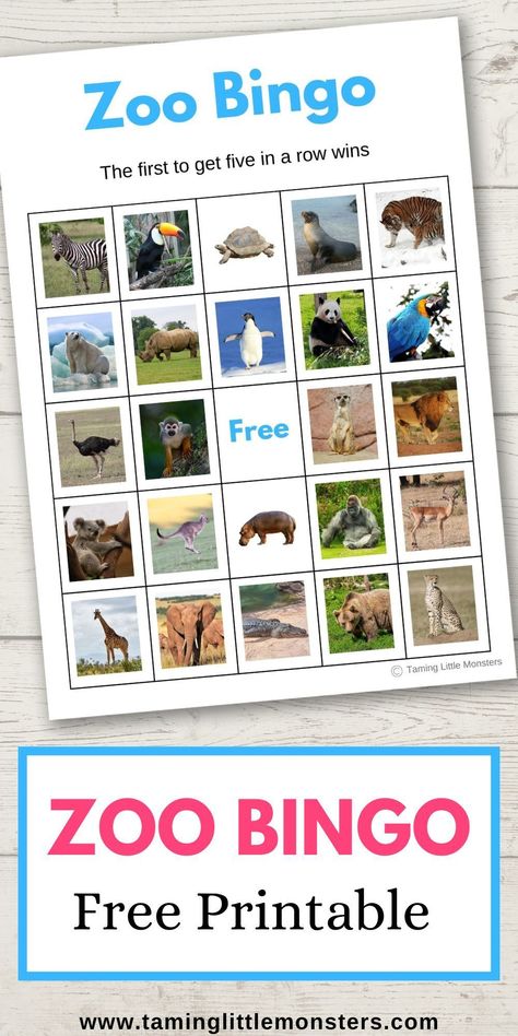 Zoo Activities For Preschoolers, Safari Bingo Free Printable, Animal Games Preschool, Jungle Bingo Free Printable, Zoo Bingo Free Printable, Safari Animal Prints Free Printable, Zoo For Preschool, Animal Bingo Printable Free, Zoo Science Activities Preschool