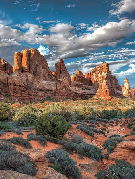 High Desert Aesthetic, National Parks Aesthetic, National Park Aesthetic, Utah Aesthetic, Utah Nature, Desert Forest, Desert Canyon, Desert Nature, American National Parks