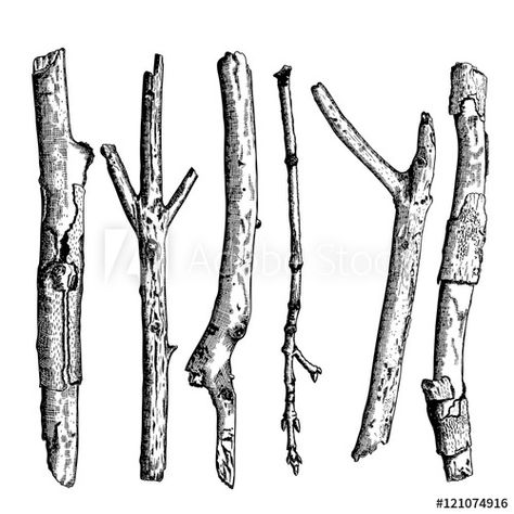 Set of detailed and precise ink drawing of wood twigs, forest collection, natural tree branches, sticks, hand drawn driftwoods forest pickups bundle. Rustic design, classic drawing elements. Vector. - Buy this stock vector and explore similar vectors at Adobe Stock Twig Drawing, Pencil Sketches Landscape, Micron Pen Art, Branch Drawing, Stick Tattoo, Stick Drawings, Tree Sketches, Drawing Easy, Detailed Drawings