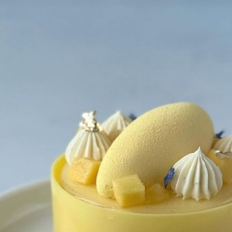 Fred Csibi-Levin | Doc Macaron on Instagram: "(Recipe) Monochromatic Tropical Petit Gateau. There is something very appealing about monochromatic desserts with soft tones (but bold flavors), what do you think? Swipe 👈🏼 to see more This dessert is composed of: - Mango and passion fruit mousse - Mango confit - Coconut dacquoise - Macadamia feuilletine crunch - Coconut whipped ganache - Clear glaze, velvet spray - Tempered white chocolate collar @nycake cylinder silicone mold COCONUT DACQUOISE: • 140g egg whites • 95g granulated sugar • 128g powdered sugar • 63g desiccated coconut • 83g almond flour • QS desiccated coconut to sprinkle on top MANGO CONFIT • 350g mango puree (or ripe mangoes) • 30g lime juice and zest of 1 lime • 65g sugar • 7g pectin NH • Pinch of salt • Fresh mango, Coconut Dacquoise, Fruit Mousse, Fine Dining Plating, Passion Fruit Mousse, Coconut Mousse, Whipped Ganache, Desiccated Coconut, Mango Puree, Mousse Cake