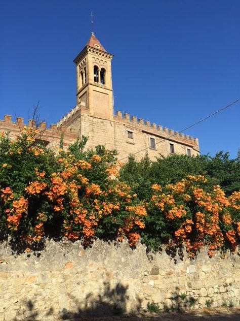 Bolgheri, Tuscany: the pretty village of Nobel prize fame you will love | Mama Loves Italy Love Mama, Nobel Prize Winners, Nobel Prize, Tuscany Italy, The Pretty, Tuscany, Need To Know, Literature, Italy