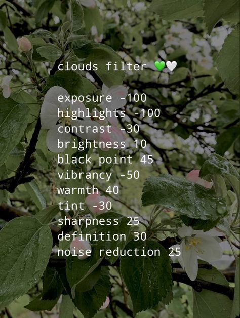 clouds filter Nature Filter Camera Roll, Christmas Filter Camera Roll, Ios Presets, Phone Filters, Aesthetic Camera Roll, Pic Filters, Filter Settings, Editing Filters, Camera Editing