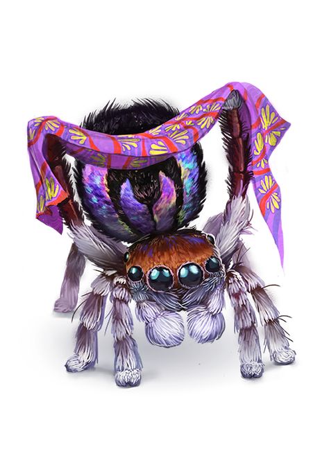 Illusion Magic, Peaceful People, Evelynn League Of Legends, Jumping Spiders, Pathfinder 2e, Dragons 5e, Dungeons And Dragons 5e, Spider Art, Dnd Monsters