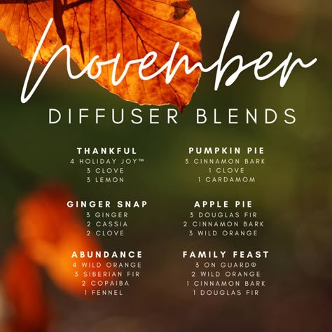 November Diffuser Blends Doterra, November Diffuser Blends, Diffuser Blends Doterra, Essential Oil Combos, Fall Essential Oil Blends, Fall Essential Oils, Welcome November, Fall Diffuser Blends, People Thinking