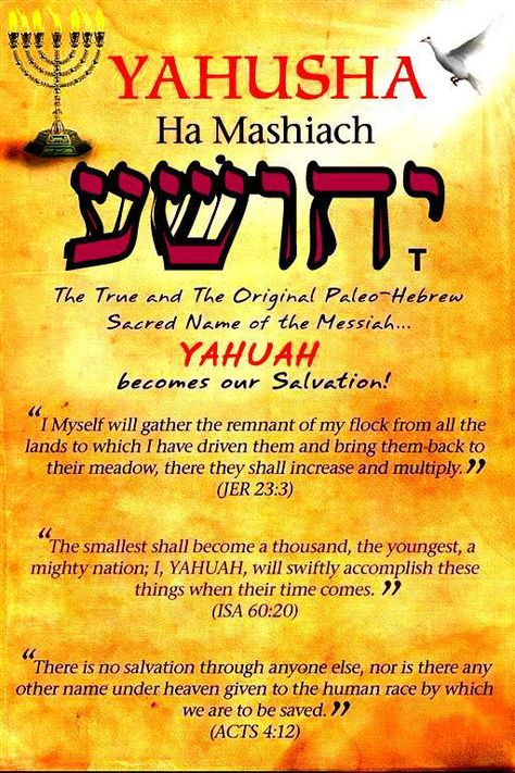 Shalom ! http://yahshuaeselmashiaj.blogspot.com/ Hebrew Language Words, Messianic Judaism, Hebrew Lessons, Biblical Hebrew, Hebrew Language, Learn Hebrew, Bible History, Hebrew Words, Bible Facts