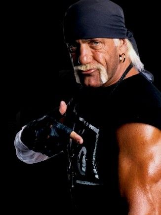 Hollywood Hulk Hogan Hollywood Hulk Hogan, 90s Wrestling, Stephanie Mcmahon Hot, Wwe Hulk Hogan, Male Wrestling, Dave Navarro, Wwe Superstar Roman Reigns, Tna Impact, Stephanie Mcmahon