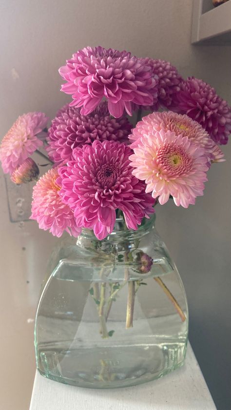 Pink flowers in glass vase Flower In Jar, Jar Aesthetic, Pink Flower Aesthetic, Flowers In Vase, Chrysanthemum Flower, Book Aesthetics, Flower Art Painting, Chrysanthemum, Glass Jar