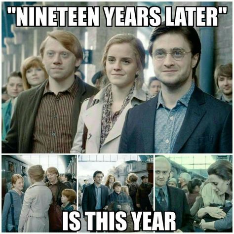 ...and im not crying, you're crying! :'/ Buku Harry Potter, Images Harry Potter, Ron And Hermione, Potter Facts, Harry Potter Hermione, Harry Potter 2, Harry Potter Pictures, Ginny Weasley, Harry Potter Facts