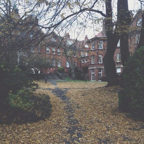 so the quad is adorable right now Boarding School Aesthetic, King's College London, King's College, Brasov, Dark Academia Aesthetic, Best Seasons, The Secret History, Academia Aesthetic, Boarding School